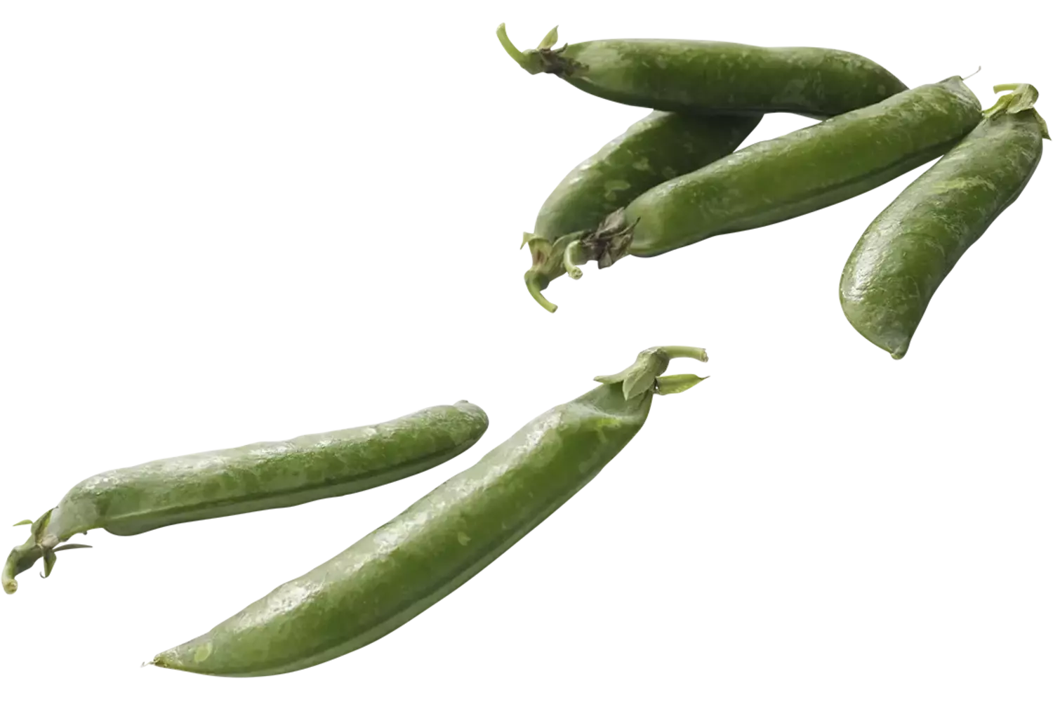 Doperwten vers verpakt 1kg stuk 1
