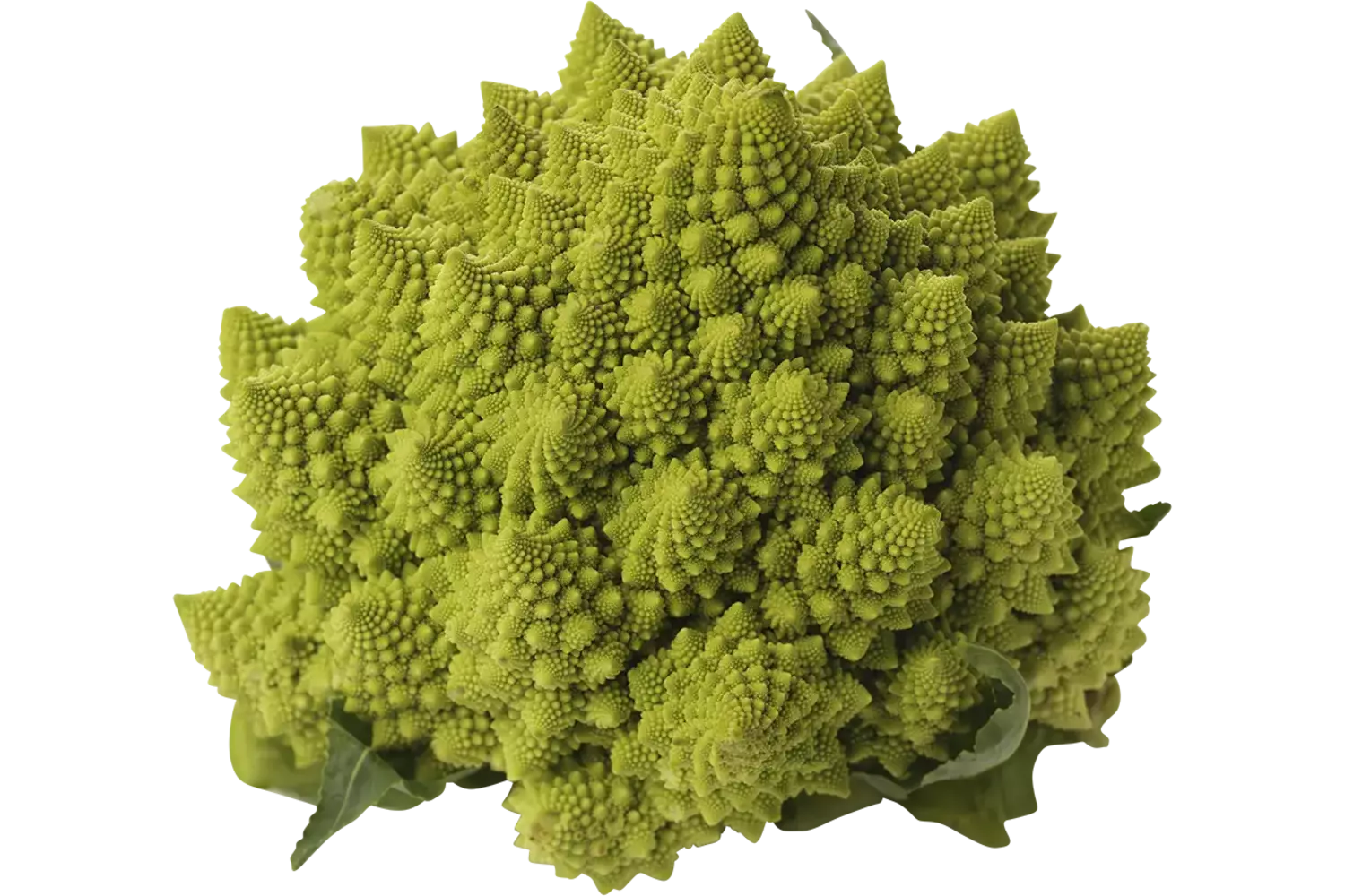 Romanesco bloemkool stuk 1