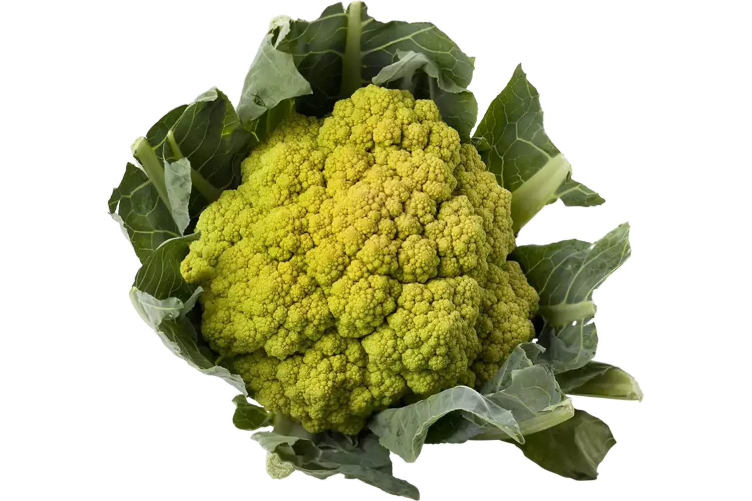 Bloemkool groen stuk 1
