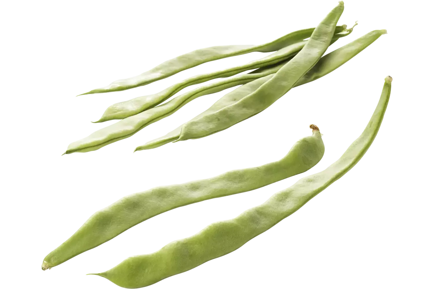 Snijbonen vuil verpakt 500gr stuk 1
