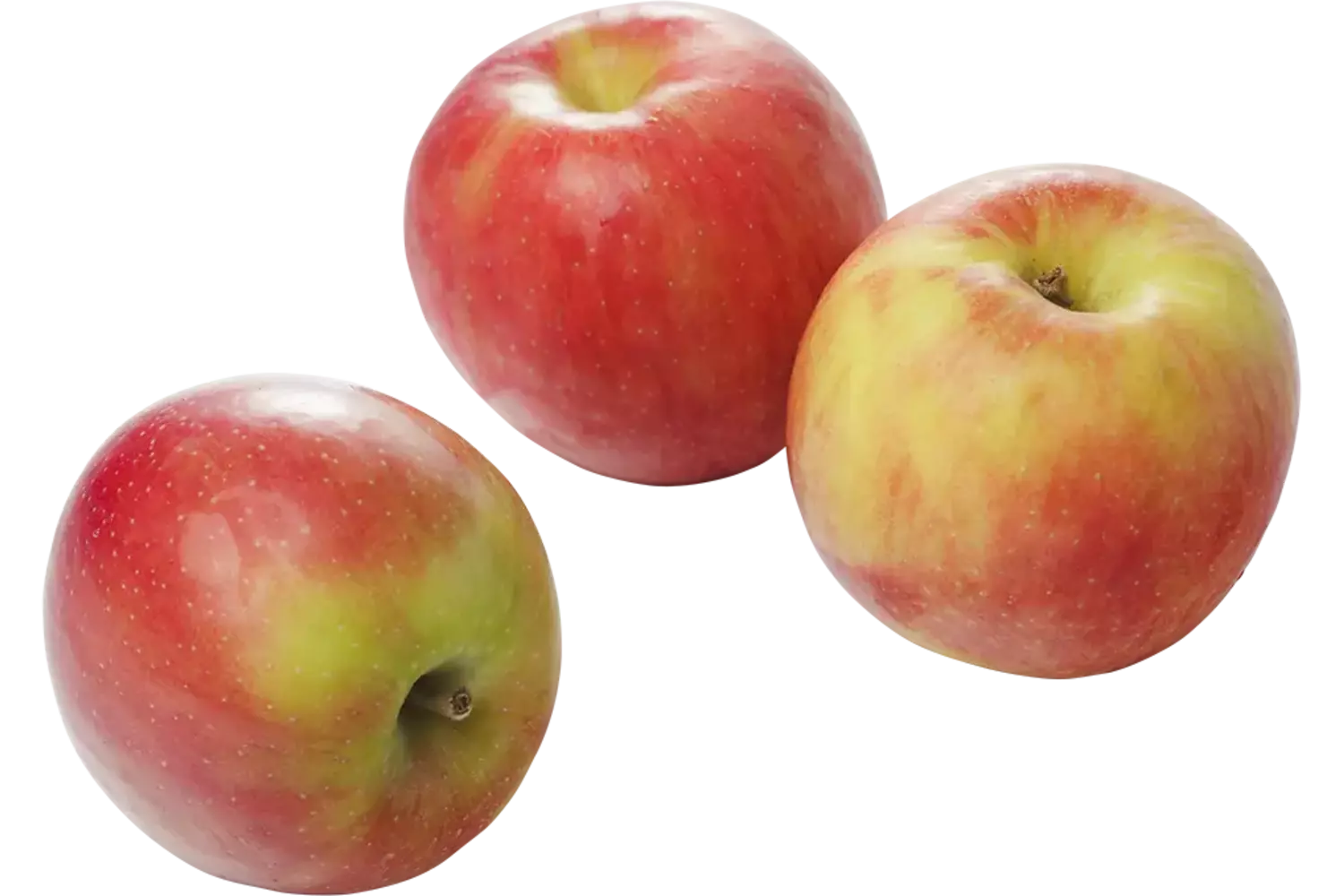 Elstar appels 75-80 kist 11 kilogram 1