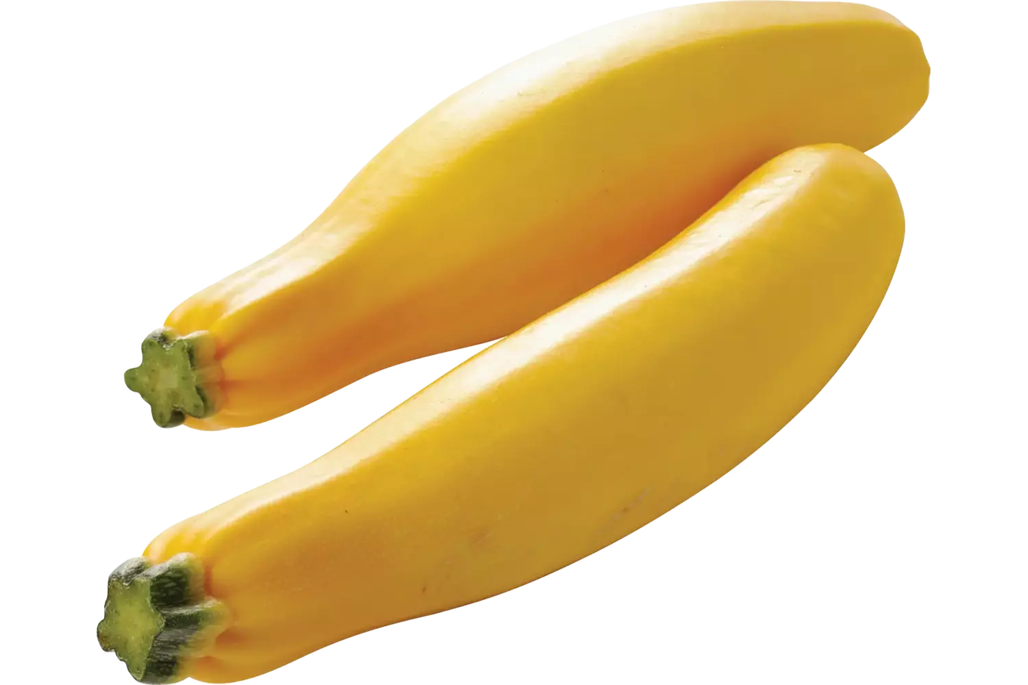 Courgettes geel stuk 1