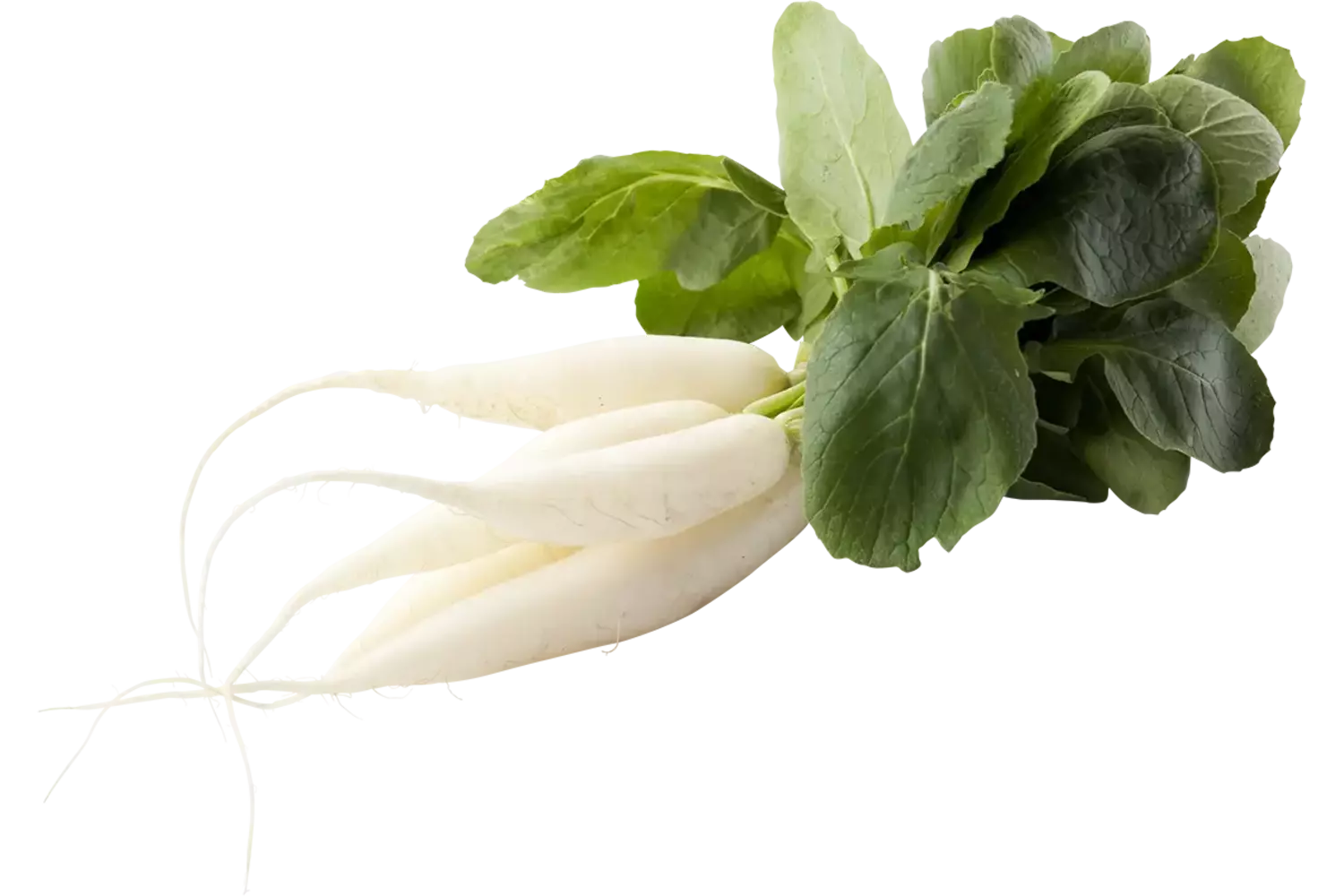 IJspegels stuk 1