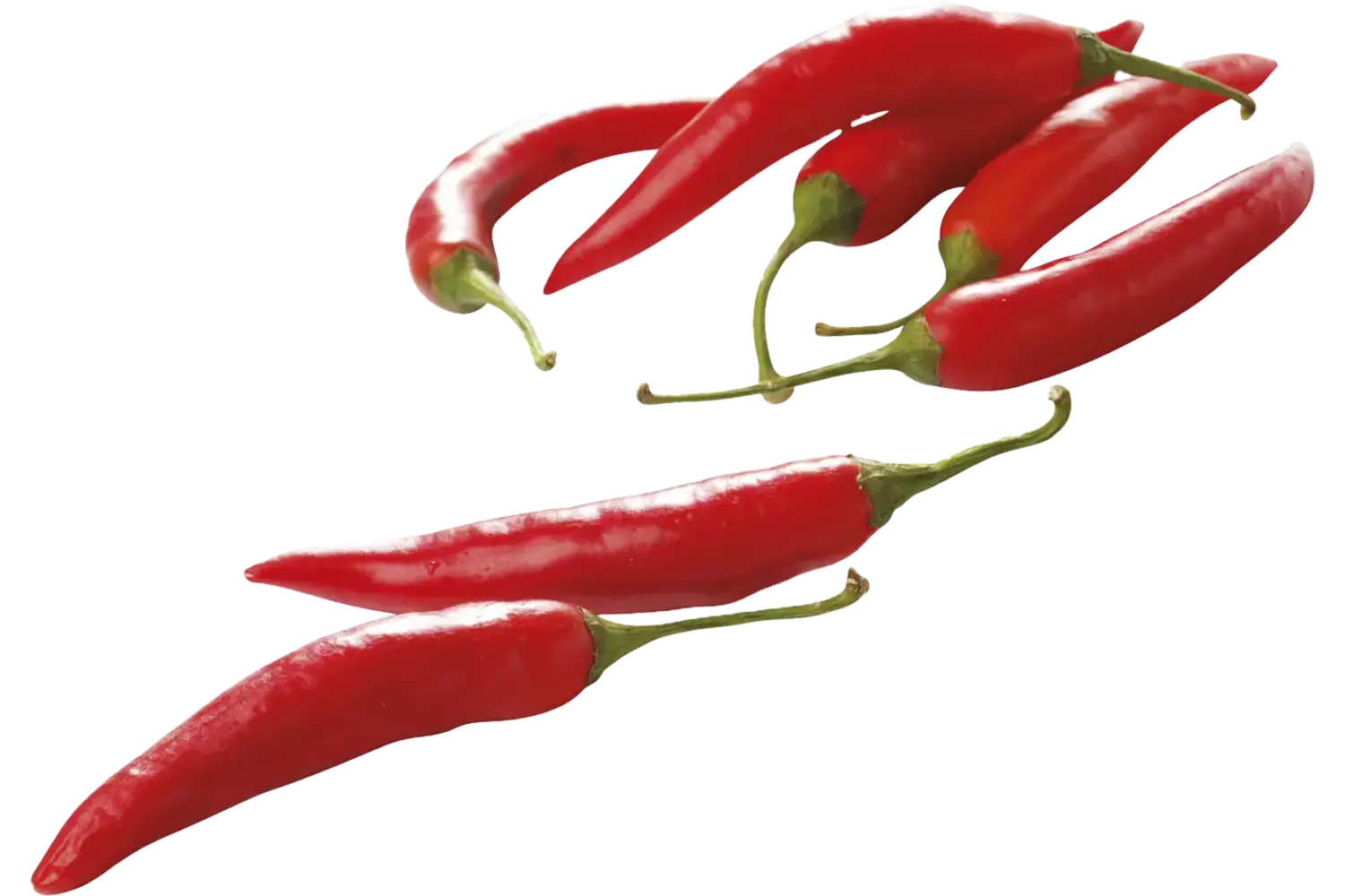 Pepers rood verpakt 100gr stuk 1