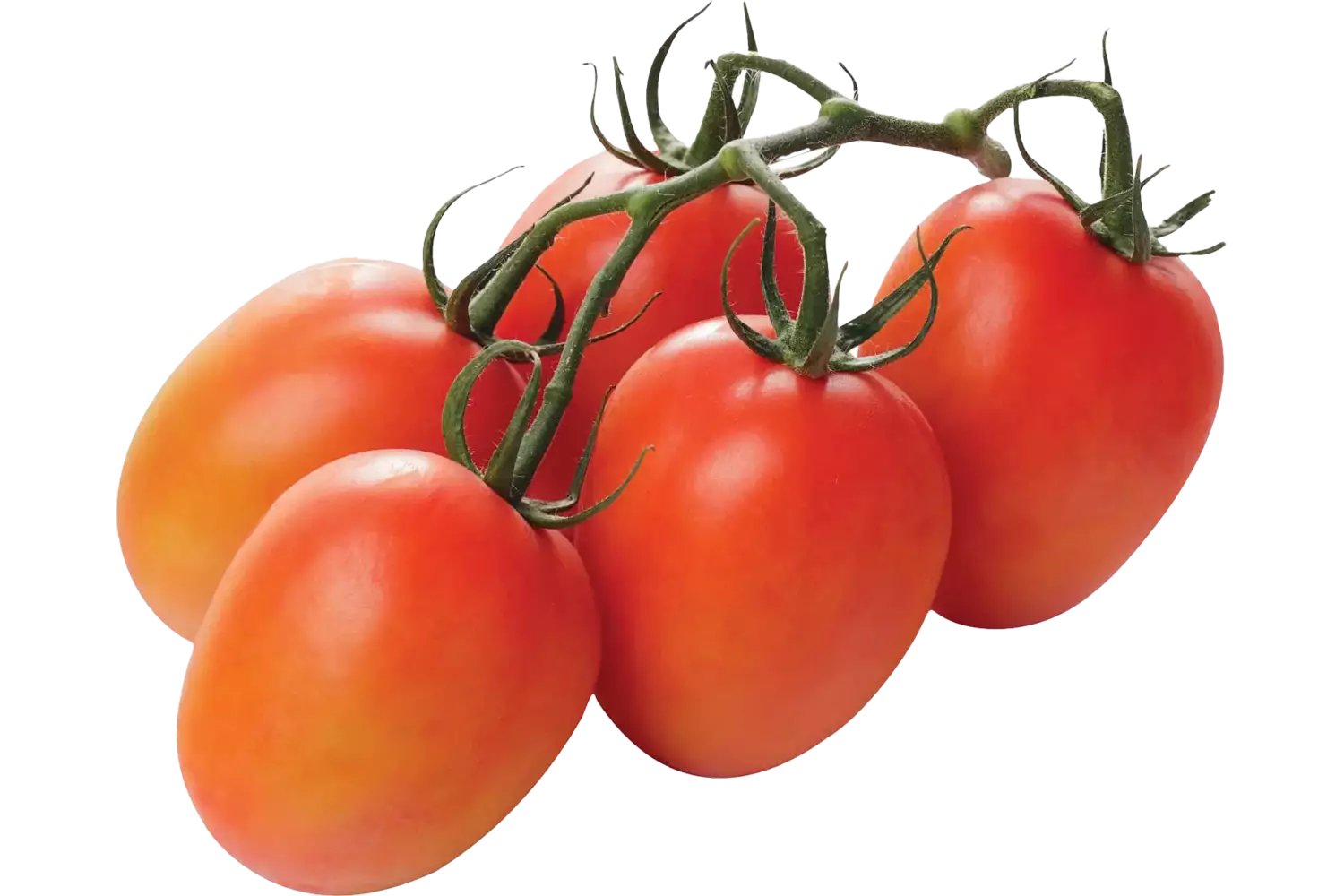 Pruimtrostomaten verpakt 750gr stuk 1