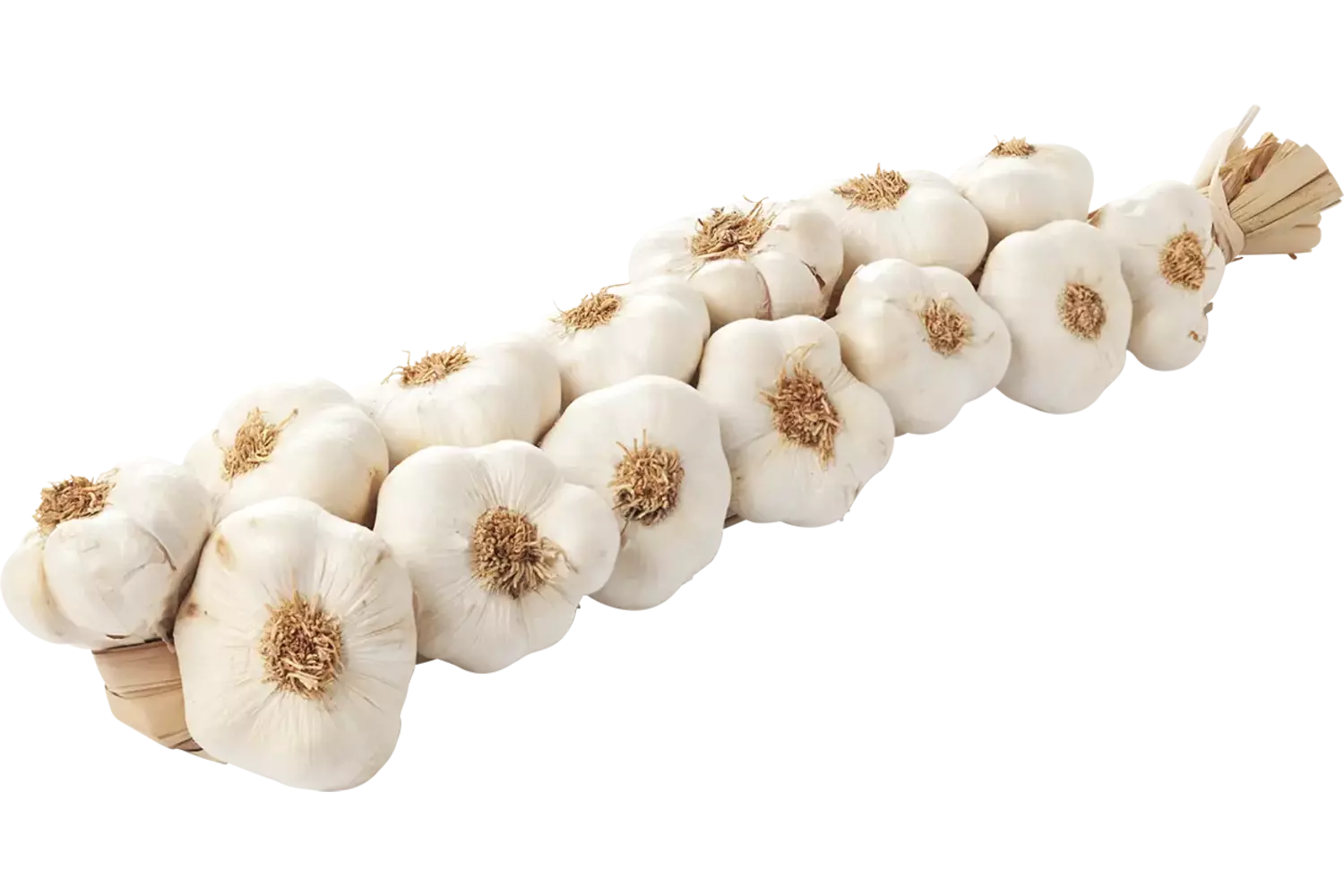 Knoflook streng 1kg stuk 1
