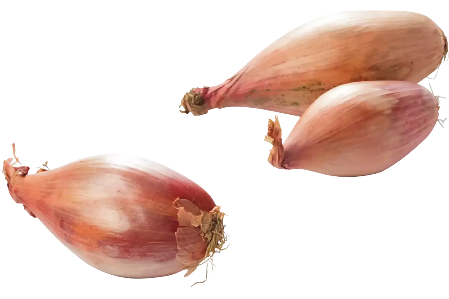 Banaan sjalotten verpakt 500gr stuk 1
