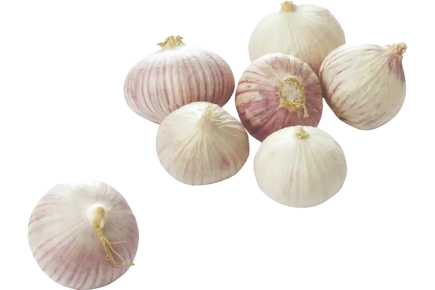Knoflook solo 250gr stuk 1