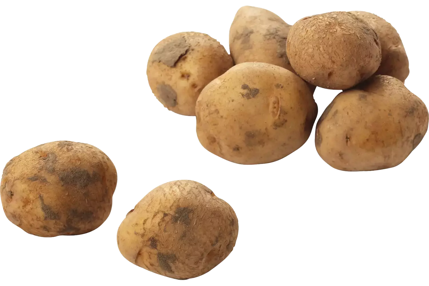 Bildstar aardappelen 2,5kg stuk 1