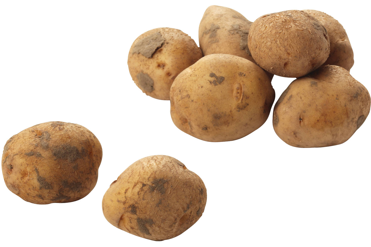 Bildstar aardappelen 2,5kg stuk 1