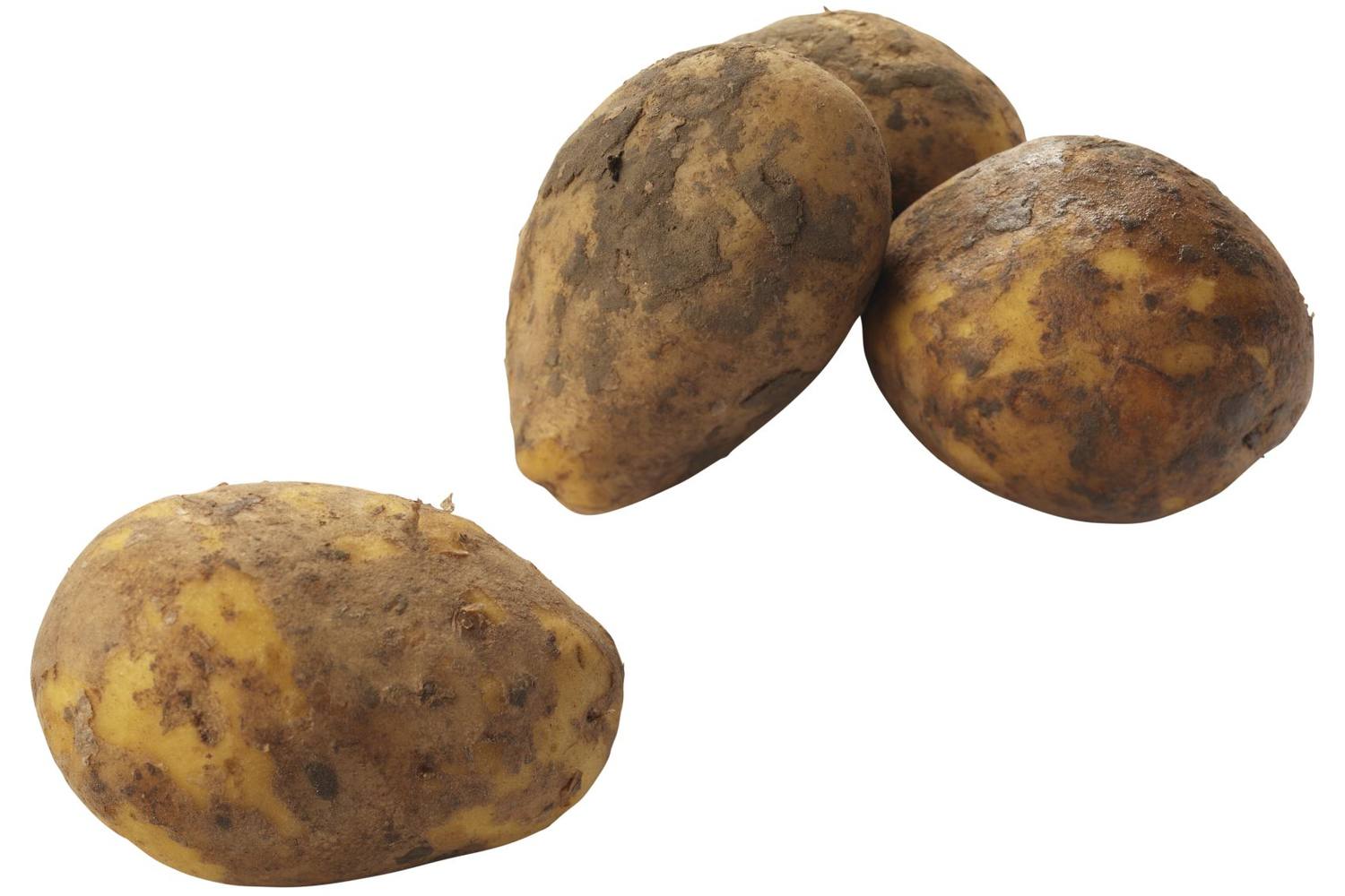 Aardappel bonken geborsteld 2,5kg stuk 1