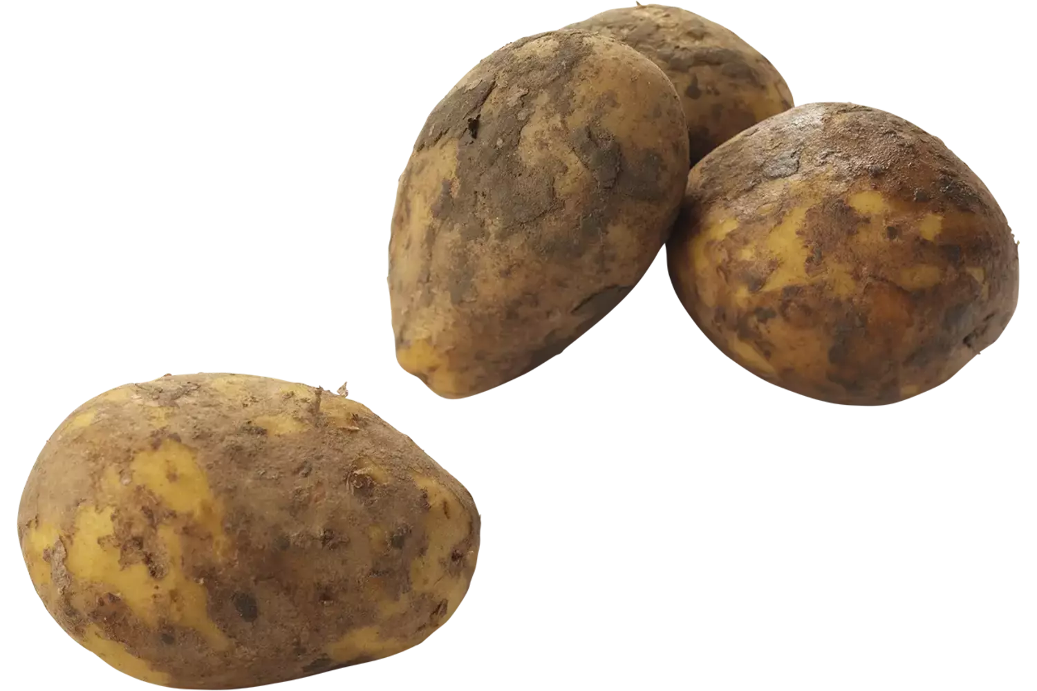Aardappel bonken geborsteld 2,5kg stuk 1