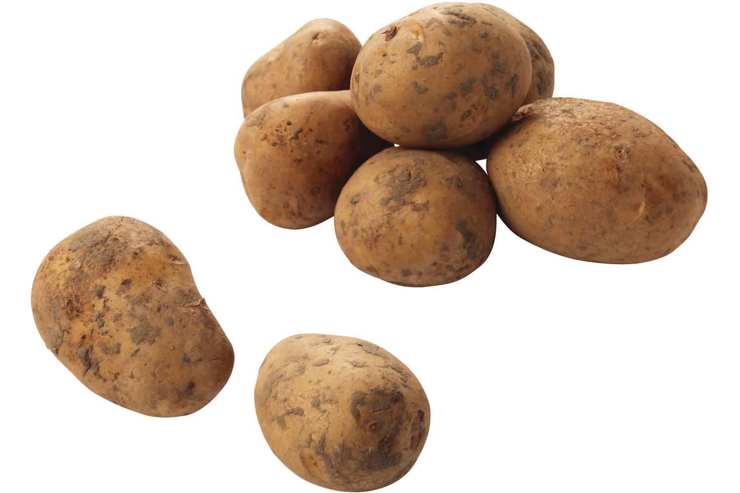 Nicola aardappelen 2,5kg stuk 1