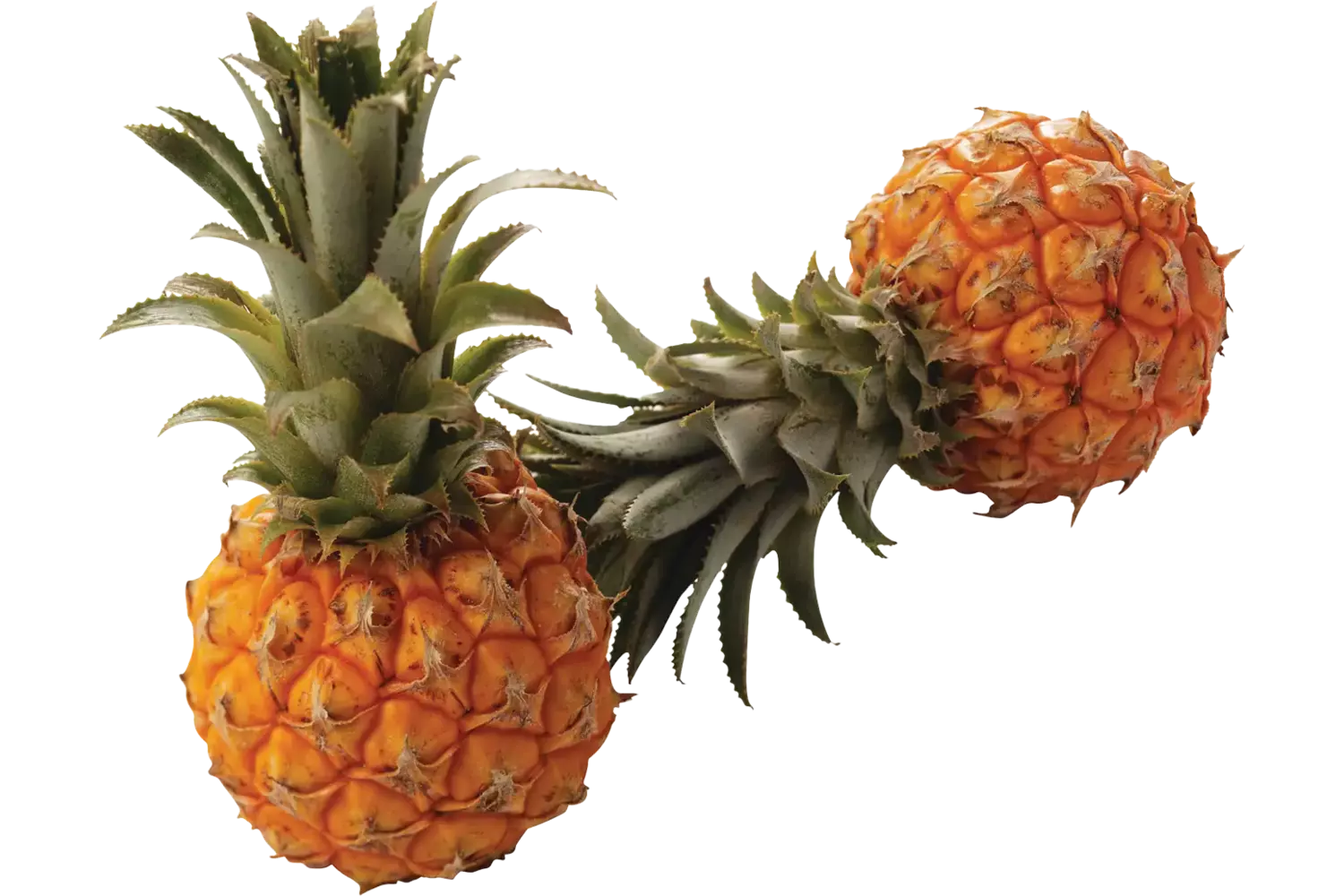 Baby ananas stuk 1