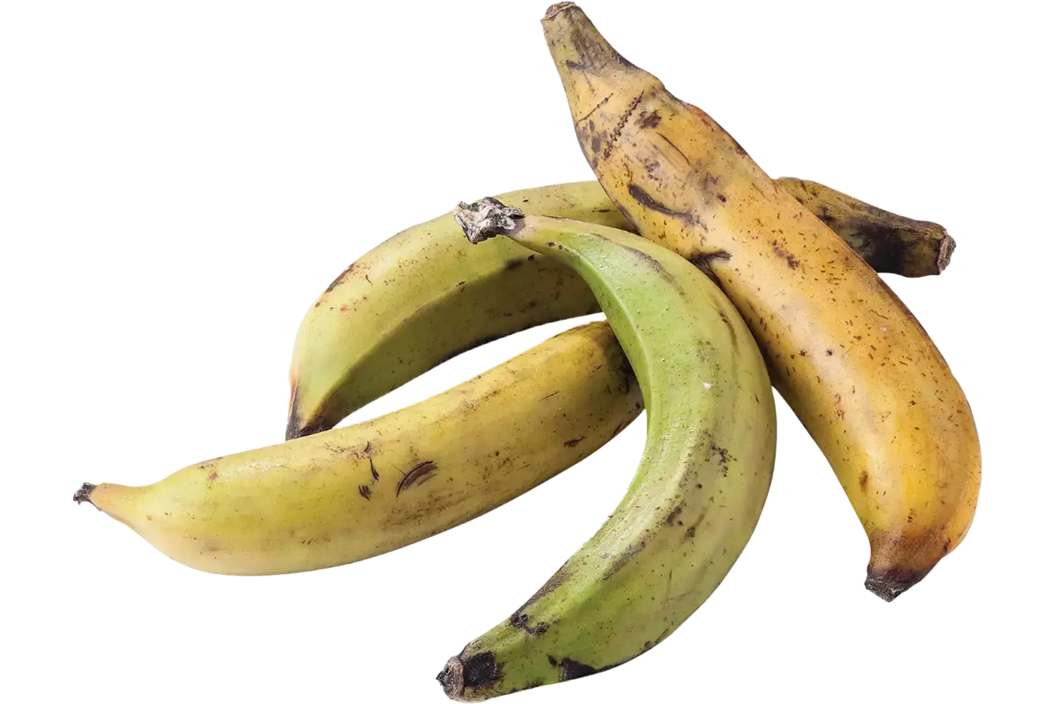 Bakbananen stuk 1