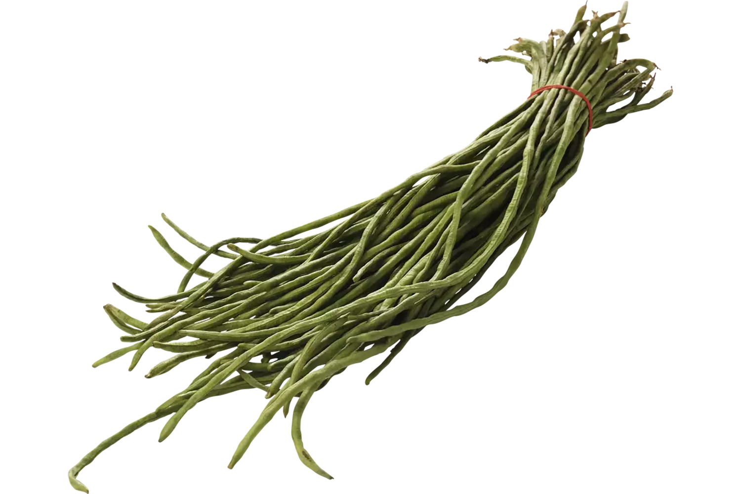 Kouseband verpakt 1kg stuk 1