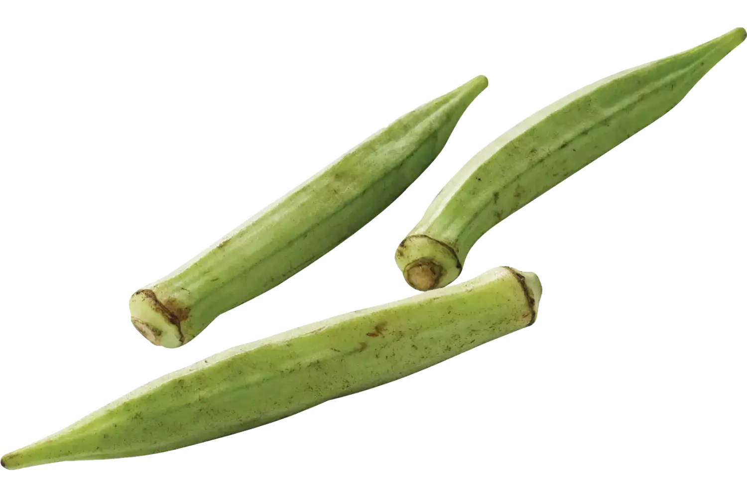 Okra verpakt 250gr stuk 1
