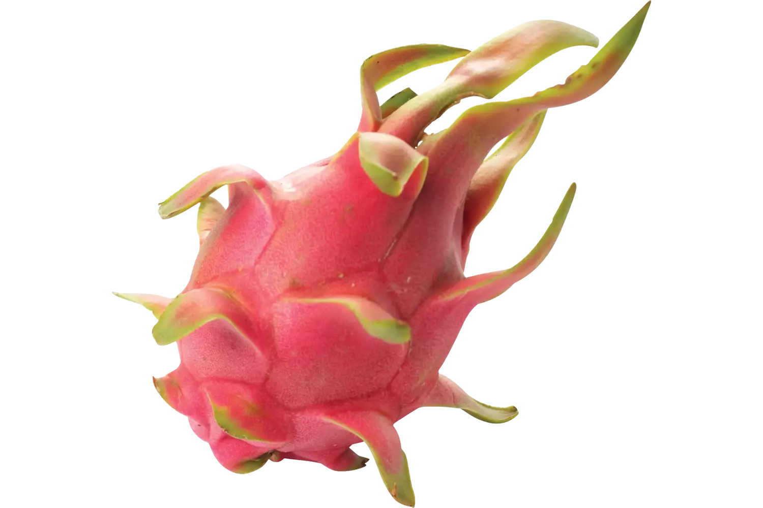 Pitahaya - dragon fruit rood (wit vlezig stuk 1