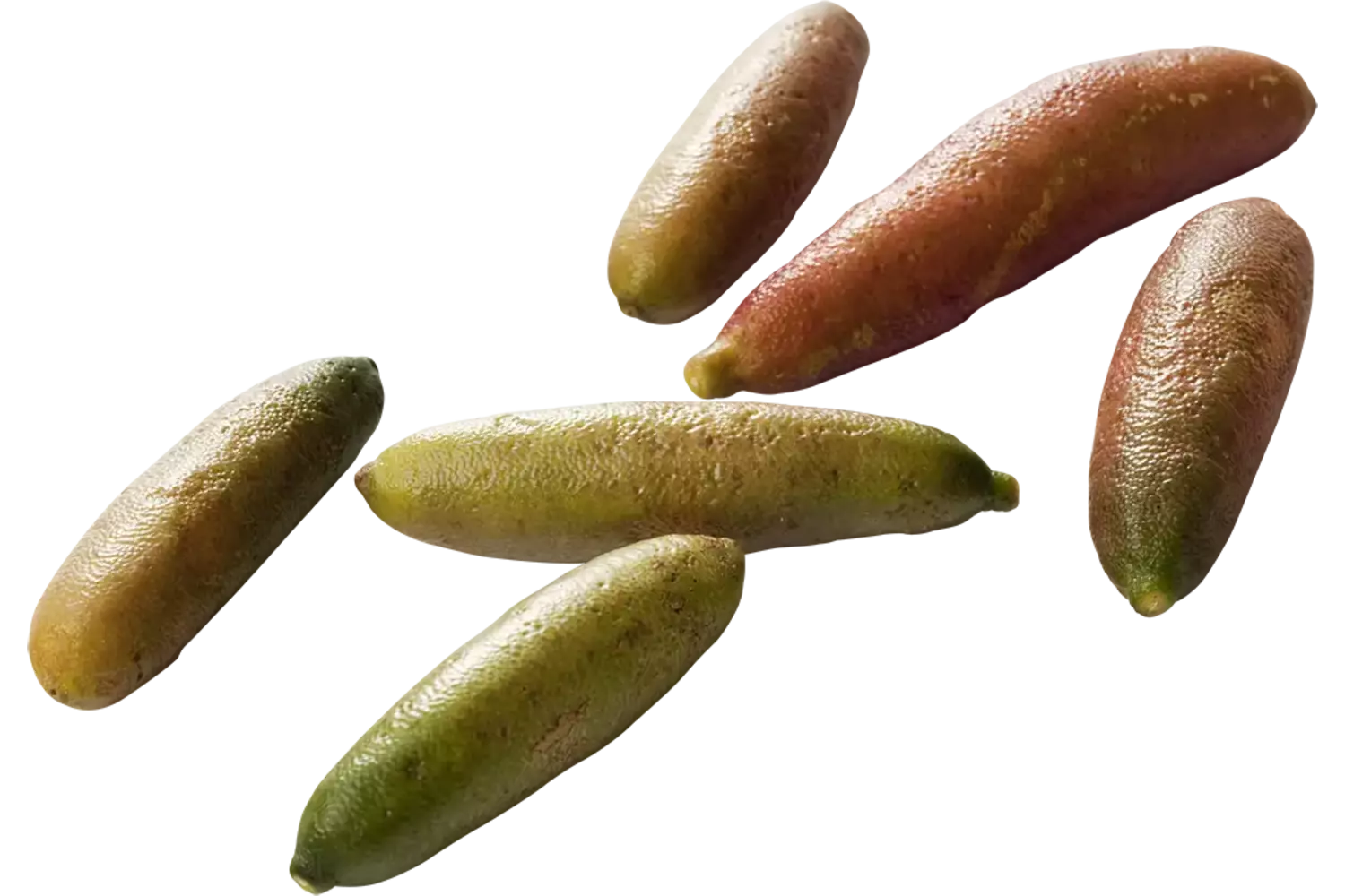 Finger limes verpakt 100gr stuk 1