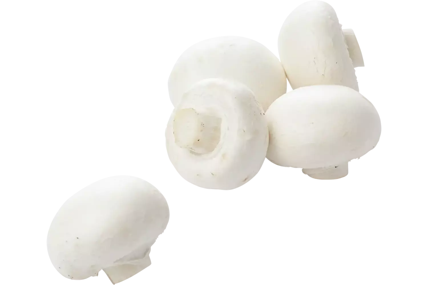 Champignons fijn 250gr stuk 1