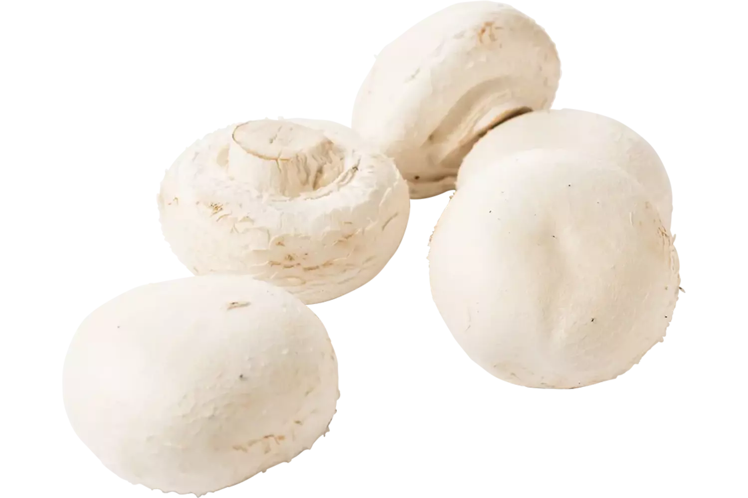 Champignons reuze 500gr stuk 1