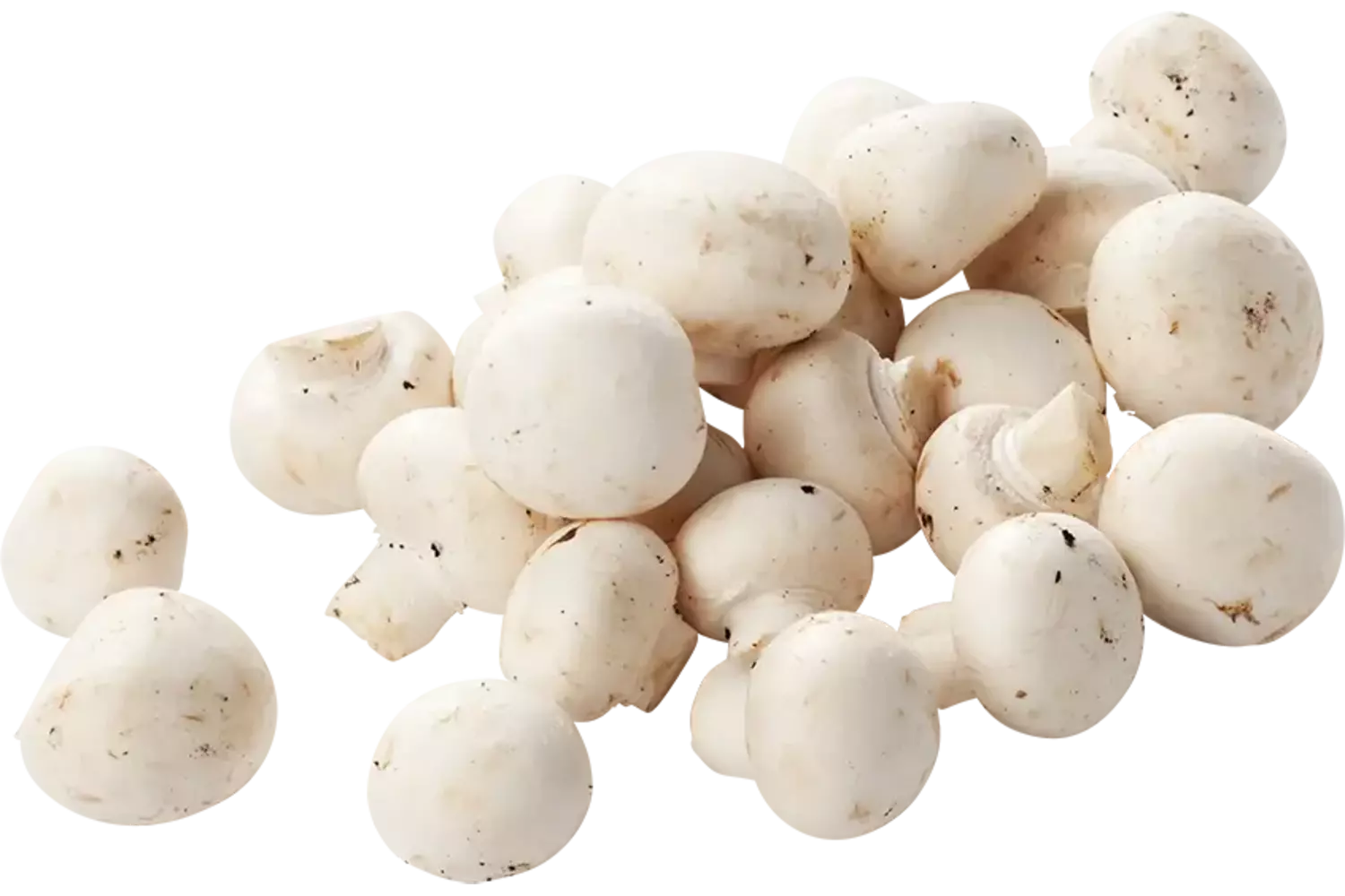 Mini champignons 500gr stuk 1
