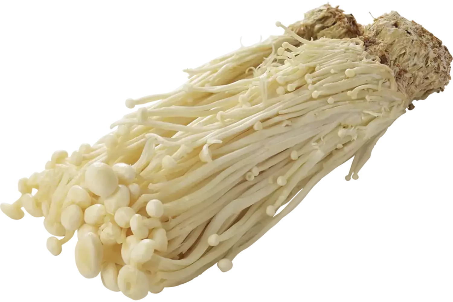 Enoki paddenstoelen 100gr stuk 1