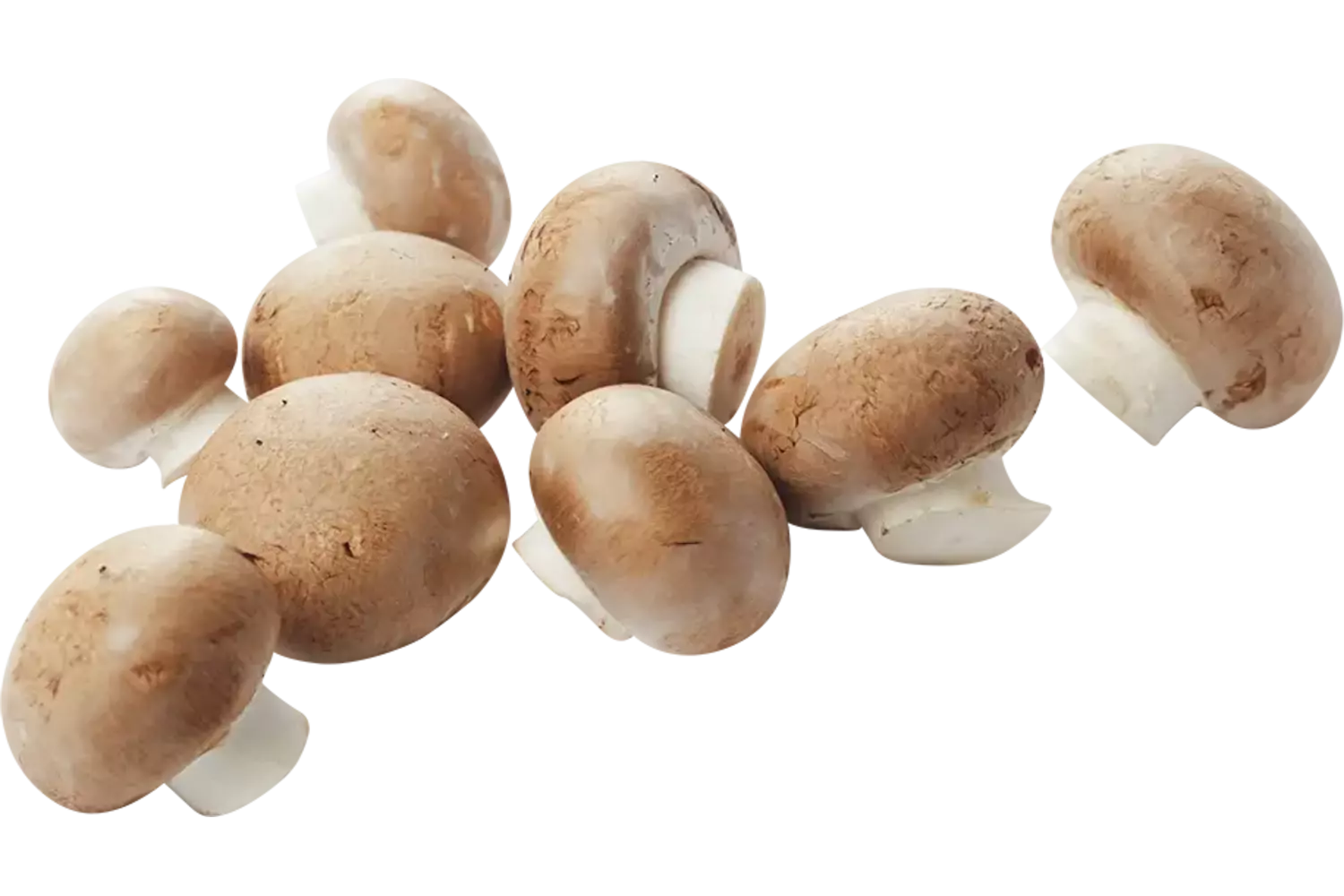 Kastanje champignons 250gr stuk 1