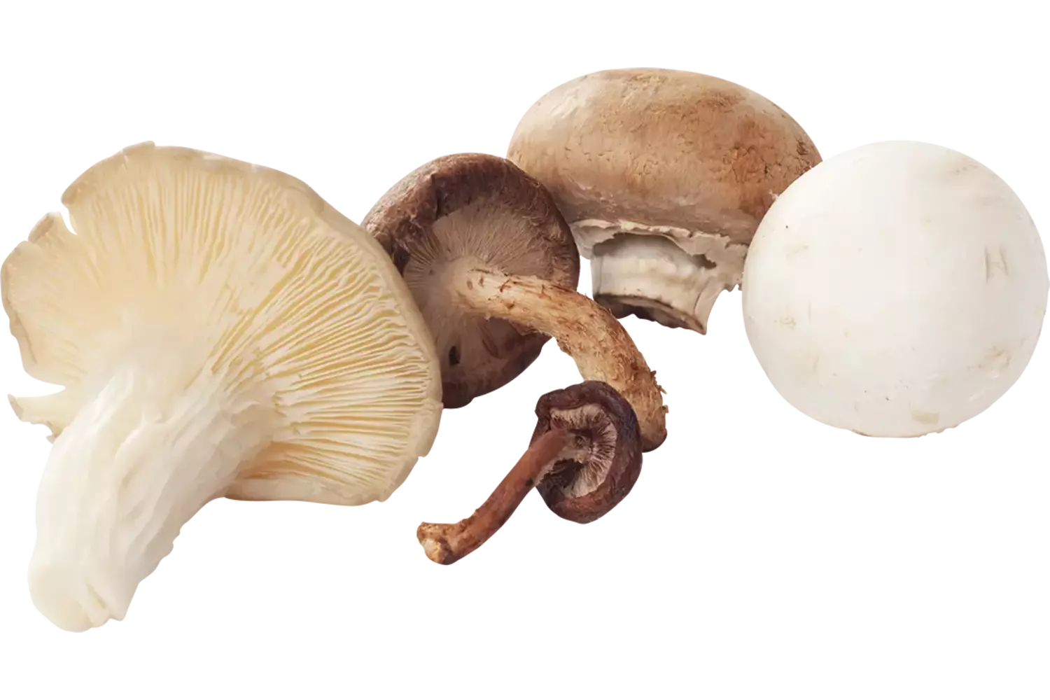 Heksenmix 500gr stuk 1