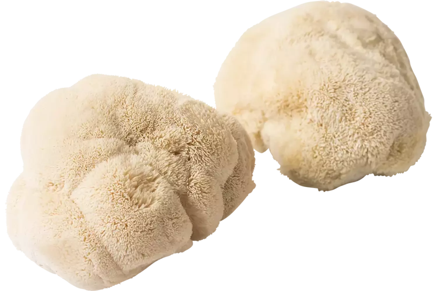 Pom Pom Blanc kist 1 kilogram 1