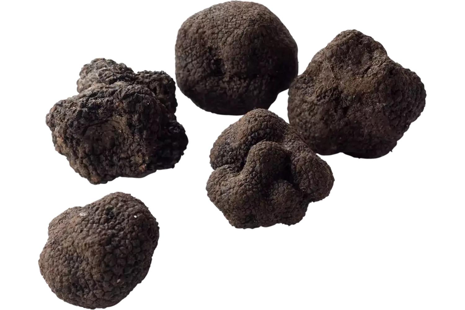 Zomertruffel tuber aestivum 100gr stuk 1