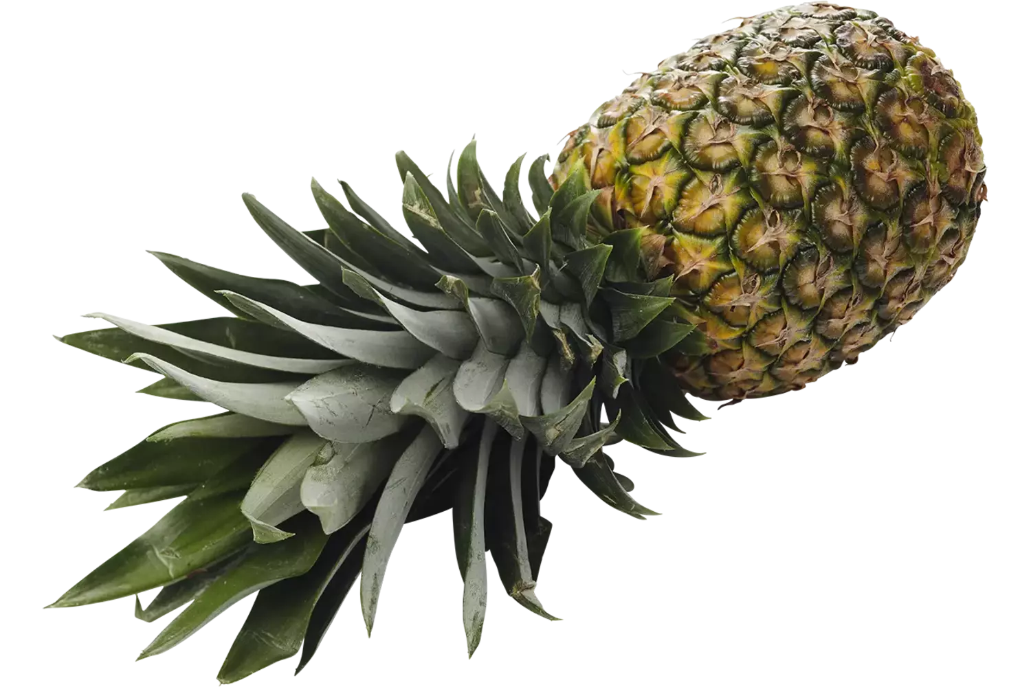 Bio Ananas stuk 1