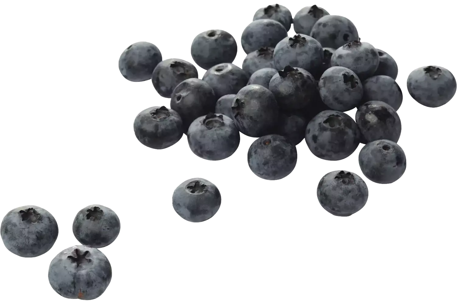 Bosbessen 500gr stuk 1