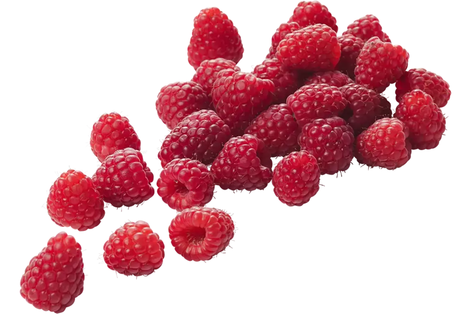 Frambozen met deksel 125gr stuk 1
