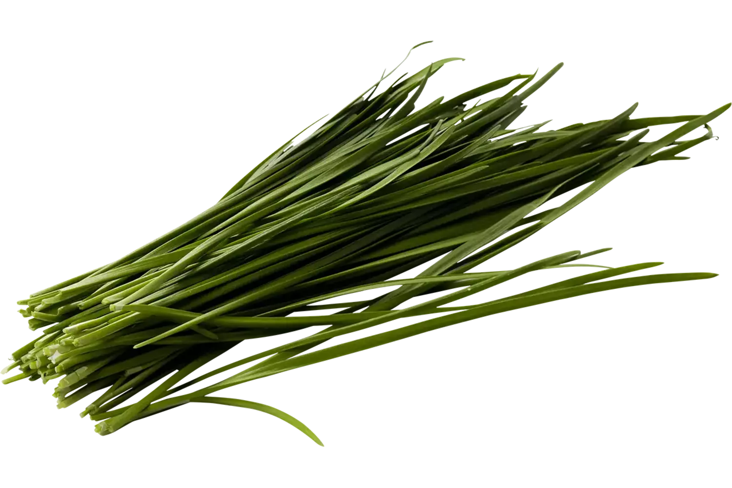 Knoflook bieslook 75-80gr stuk 1