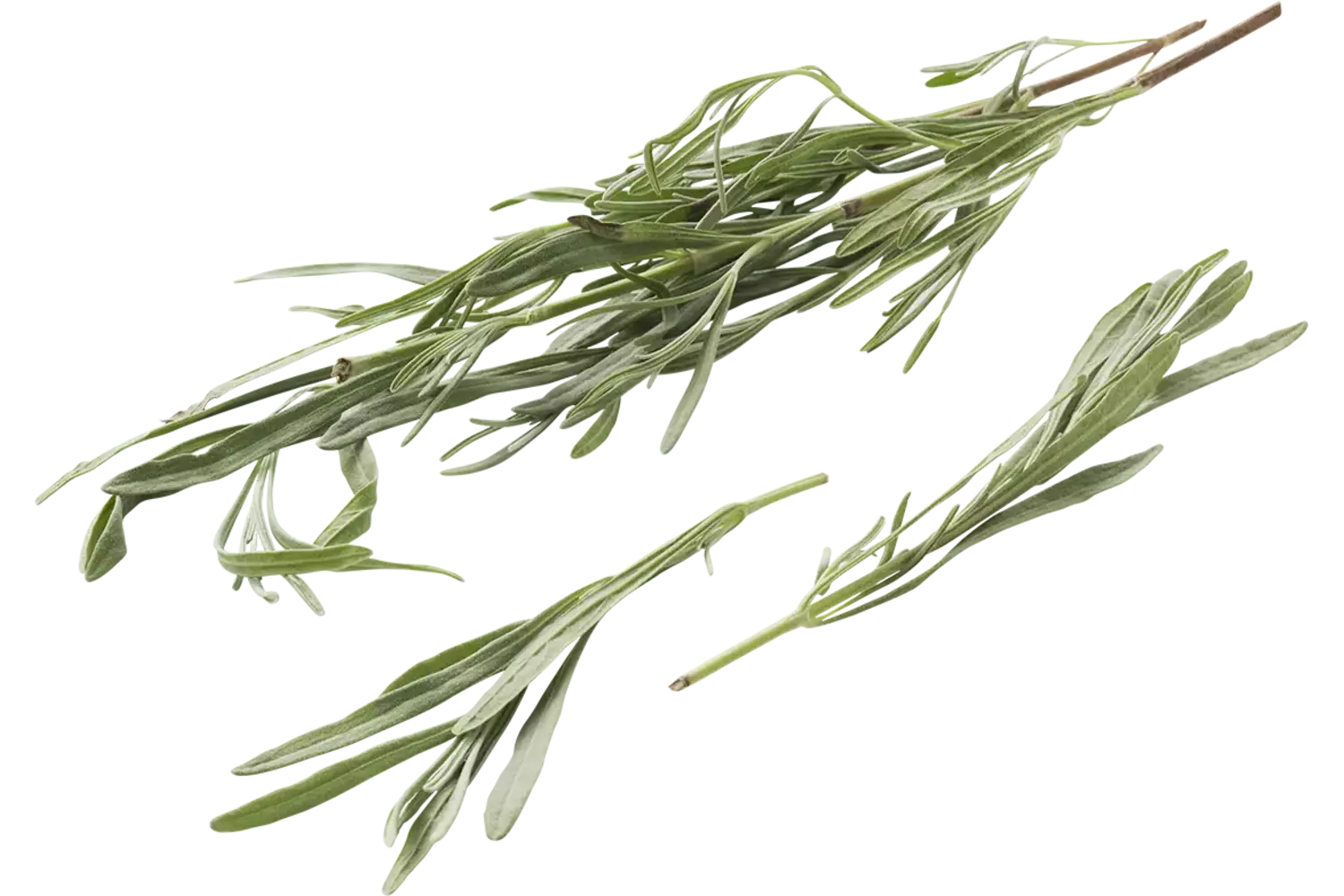 Lavendel blad 75-80gr stuk 1