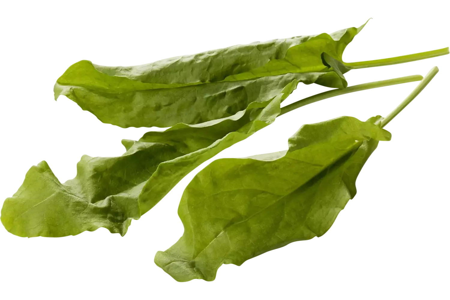 Zuring groen 75-80gr stuk 1