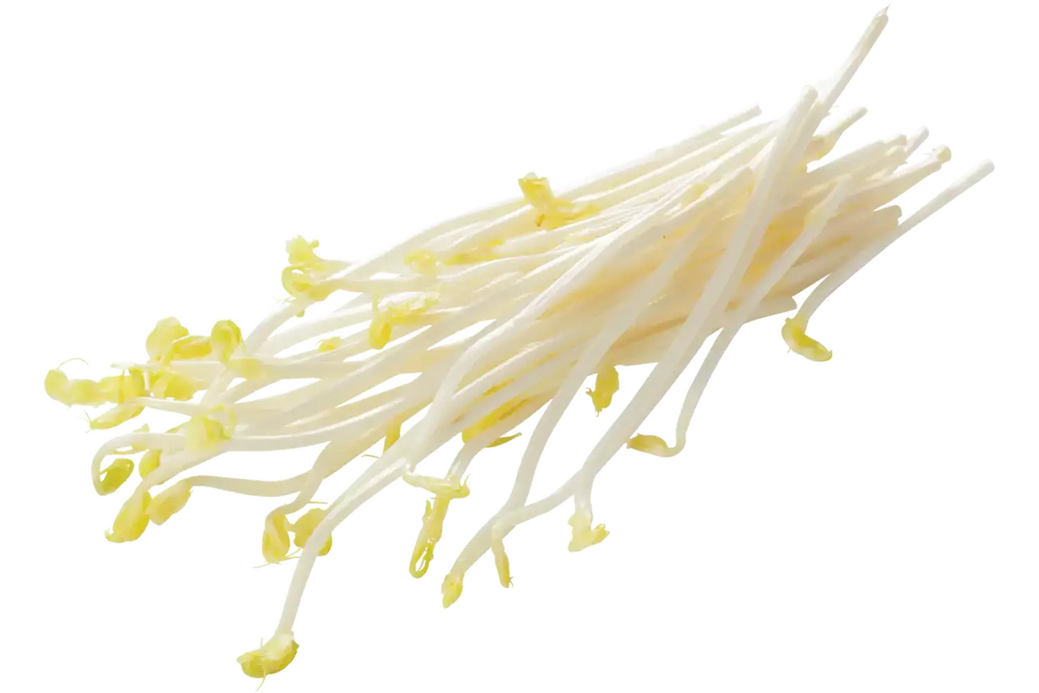 Erwten aspergescheut 100gr stuk 1