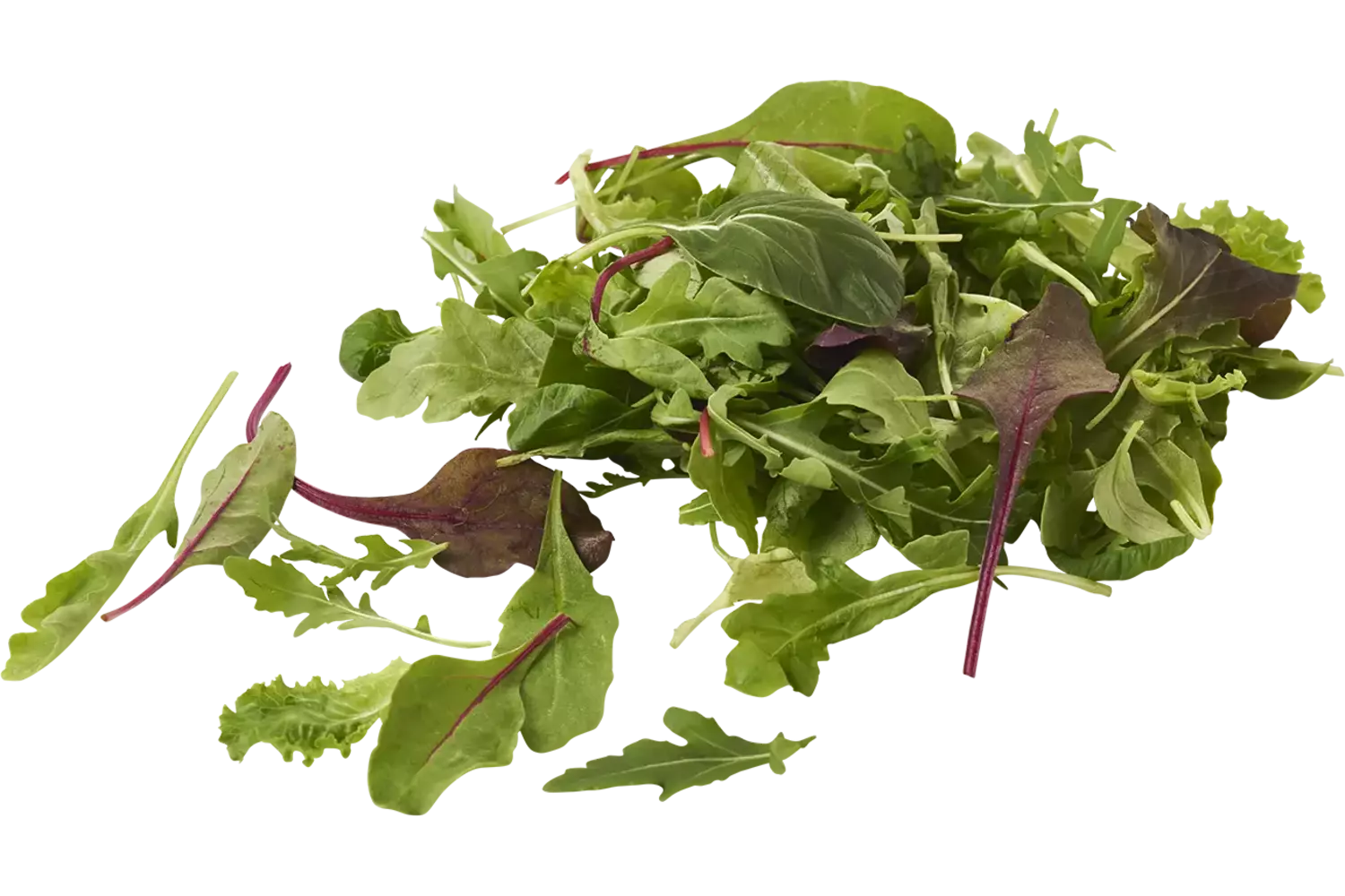 Luxe Slamix 500gr stuk 1