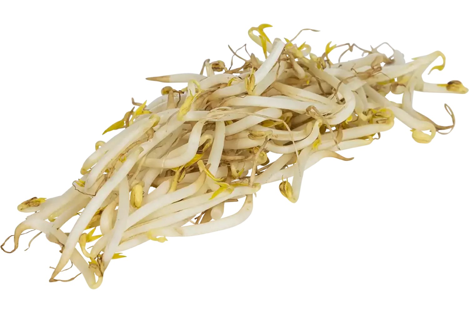 Tauge verpakt 250gr stuk 1