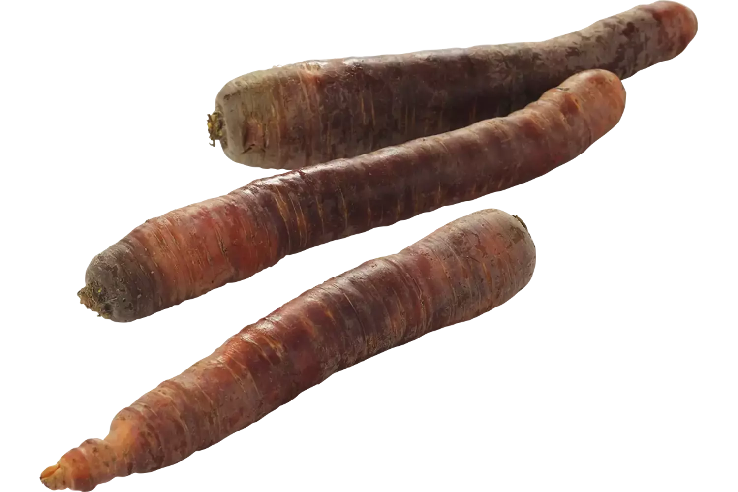 Winterpeen paars verpakt 1kg stuk 1