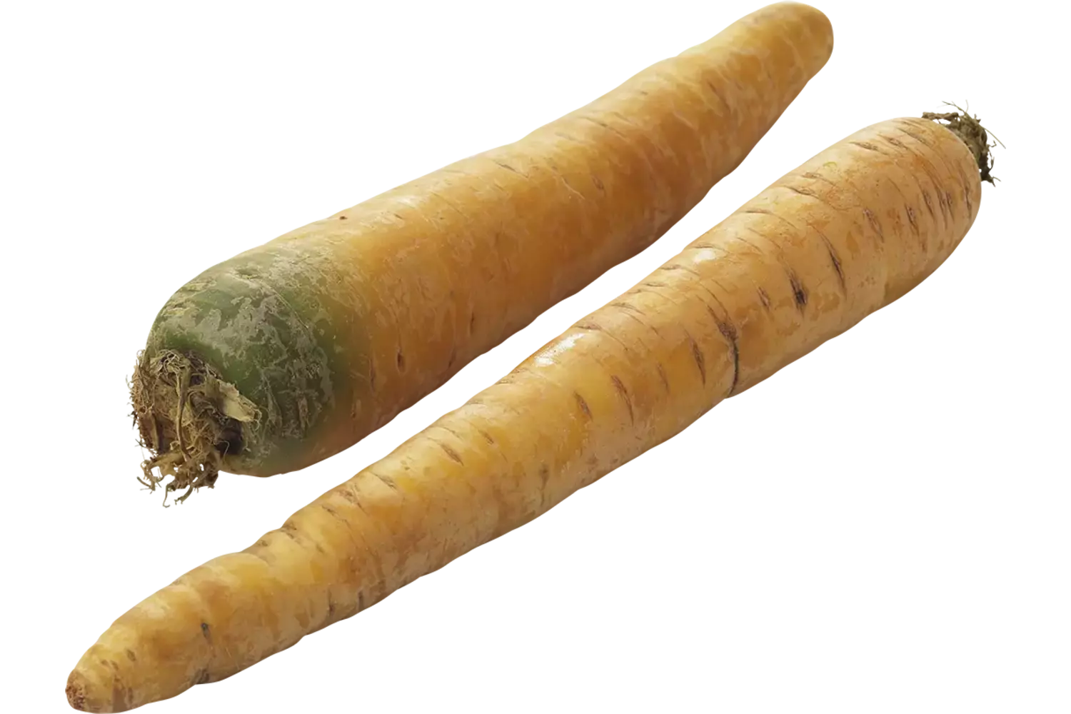 Winterpeen geel verpakt 1kg stuk 1