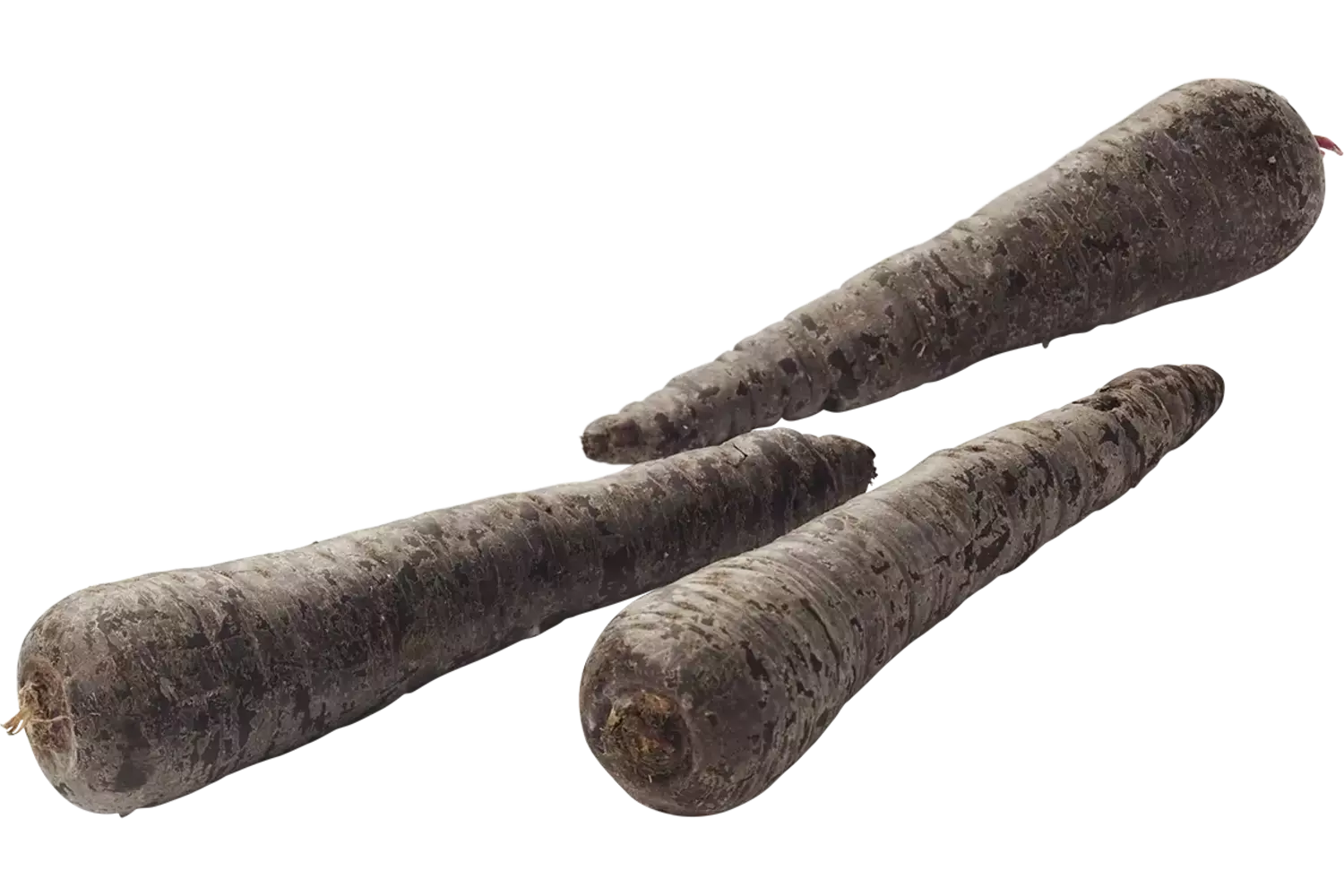 Winterpeen zwart verpakt 1kg stuk 1