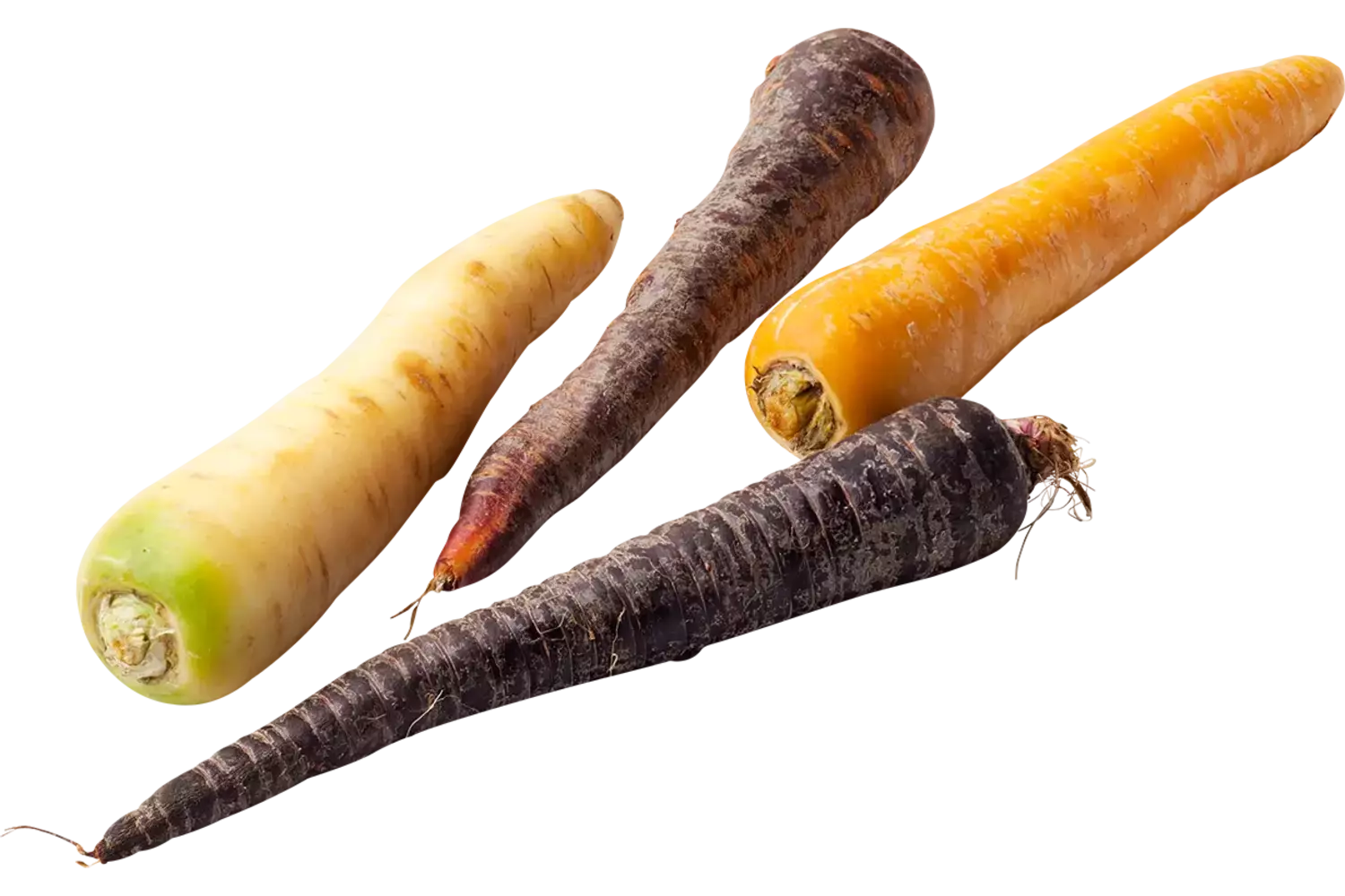 Regenboog wortel verpakt 1kg stuk 1
