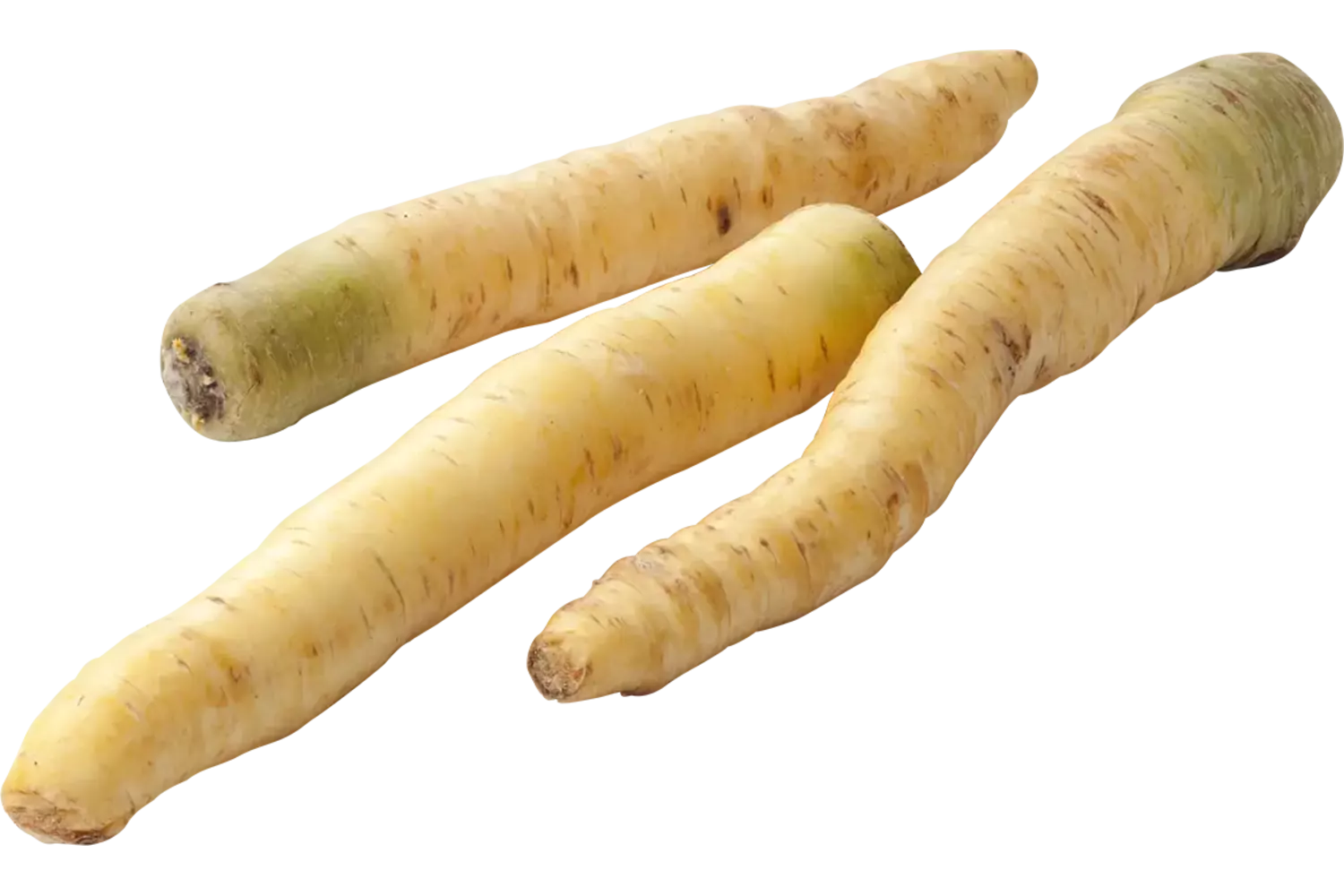 Winterpeen wit verpakt 1kg stuk 1