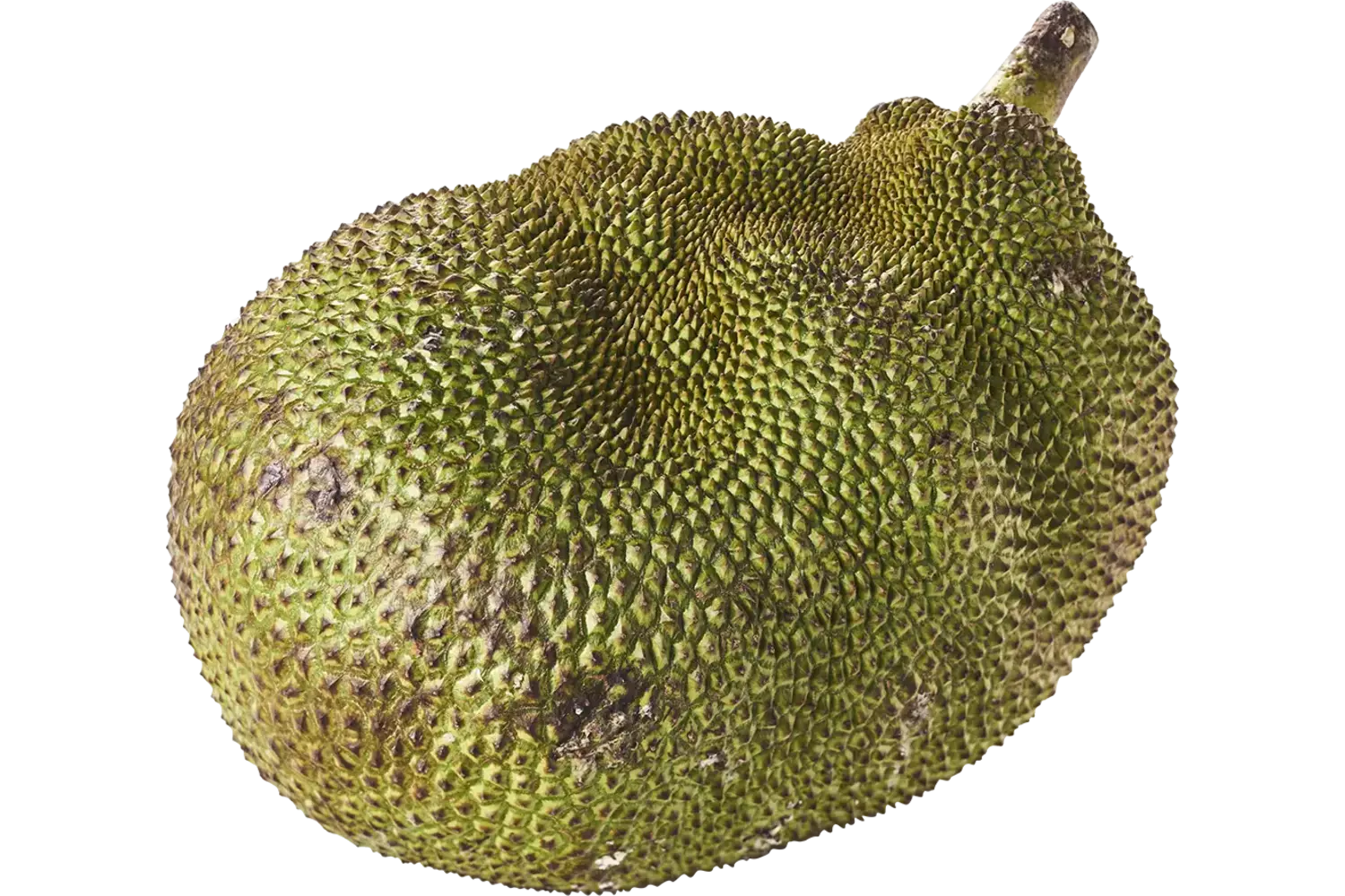 Jack fruit-Nanka fruit kist 8 kilogram 1
