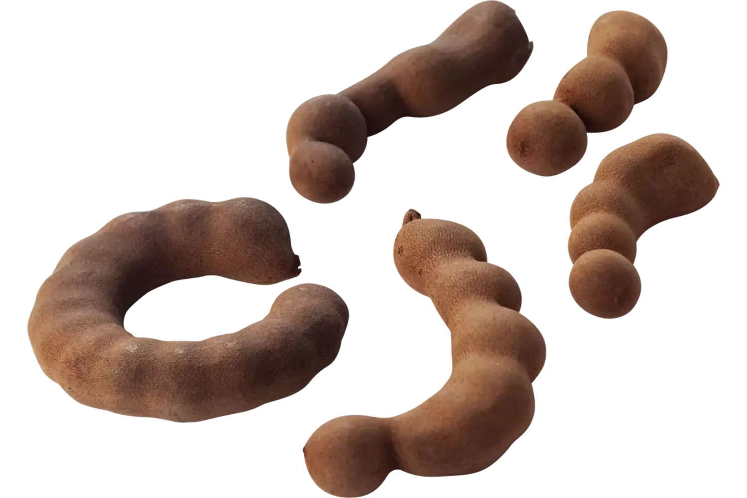 Tamarinde 500gr stuk 1