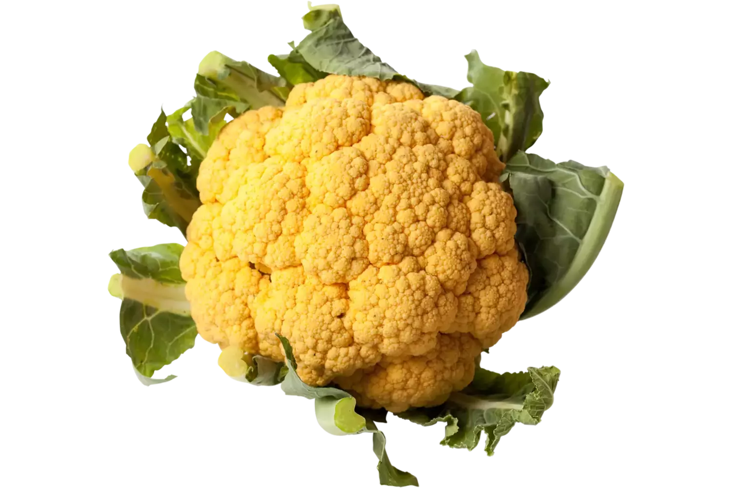 Bloemkool oranje groot stuk 1