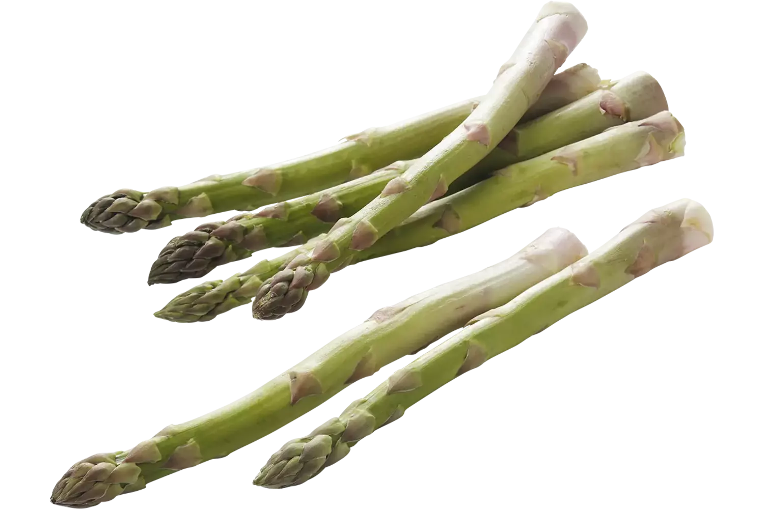 Asperges groen large 450gr stuk 1