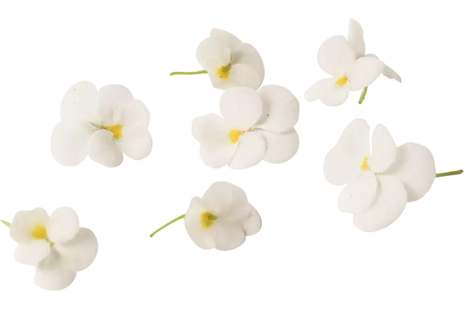 Eetbare bloem Viooltjes wit 22st. stuk 1